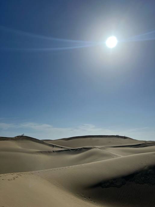 26daad44-5947-4030-9e80-0ff10c8198de